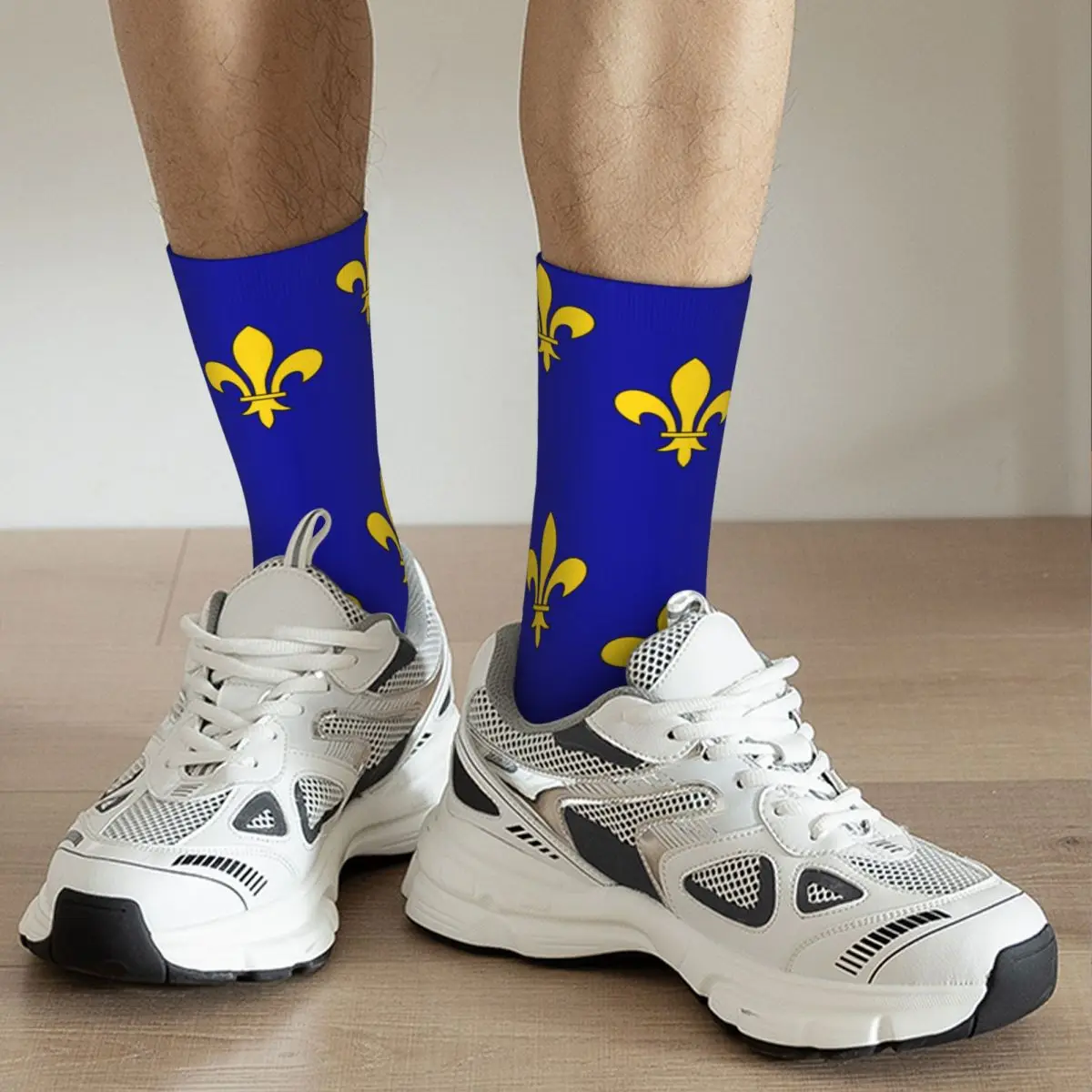 Предложеният флаг Ил-де-Франс, контрастни Цветни чорапи Ластични чорапи със Забавна винтажным модел, Реколта 284-France Stocking